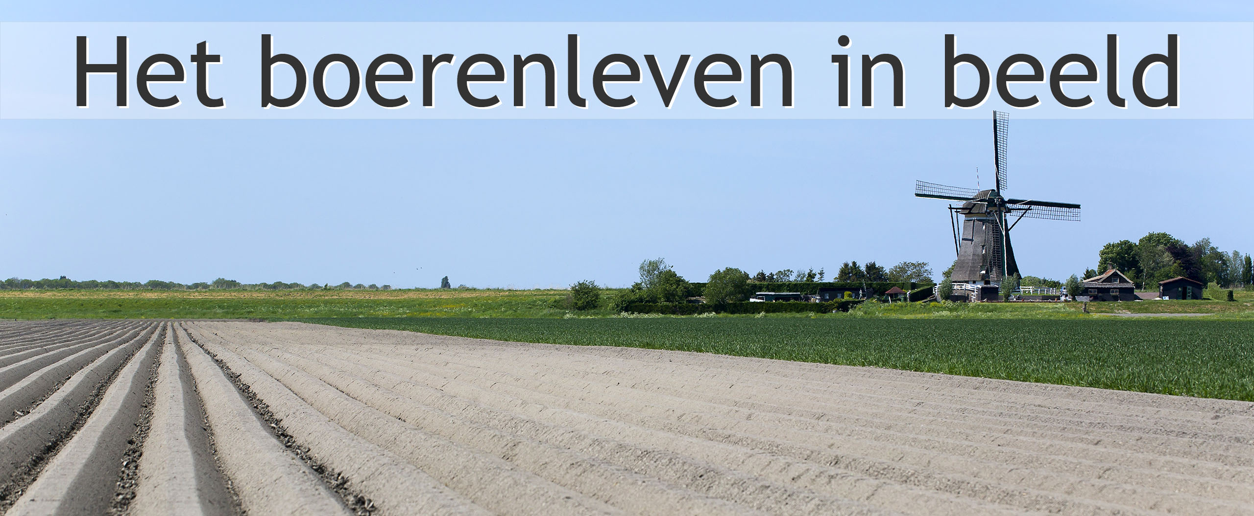 aardappelruggen molen