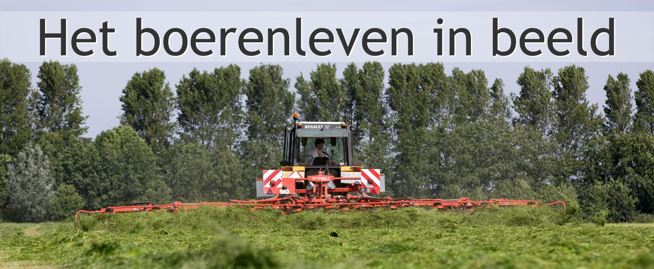 grasland maaien gras