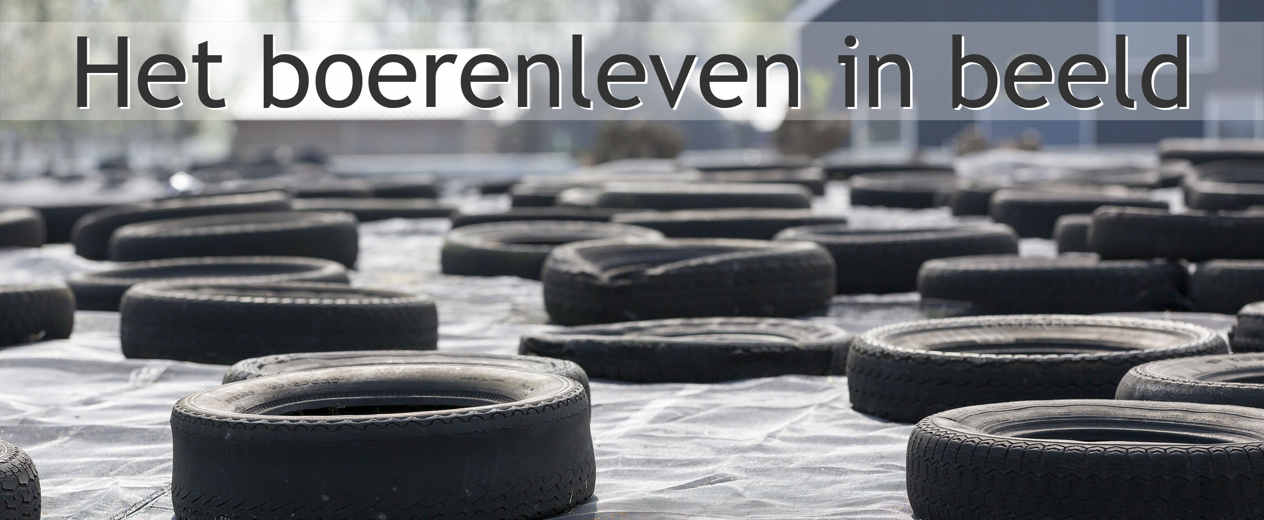 inkuilen kuil veehouder