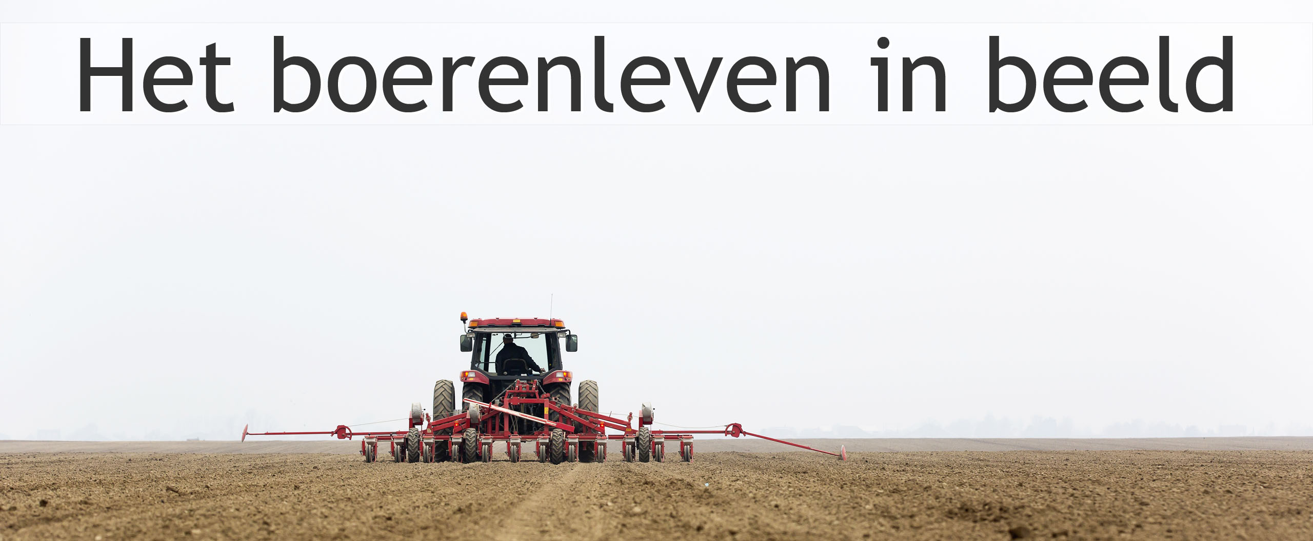 suikerbieten zaaien